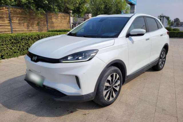 Used WM Motor EX5 2019 EX5 Lite Exploration Edition 520