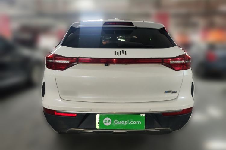 Used WM Motor EX5 2019 EX5 Mate Weymeng Edition 400 Rear