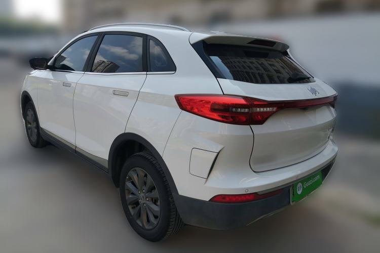 Used WM Motor EX5 2019 EX5 Mate Weymeng Edition 400 Rear Left 45 Deg