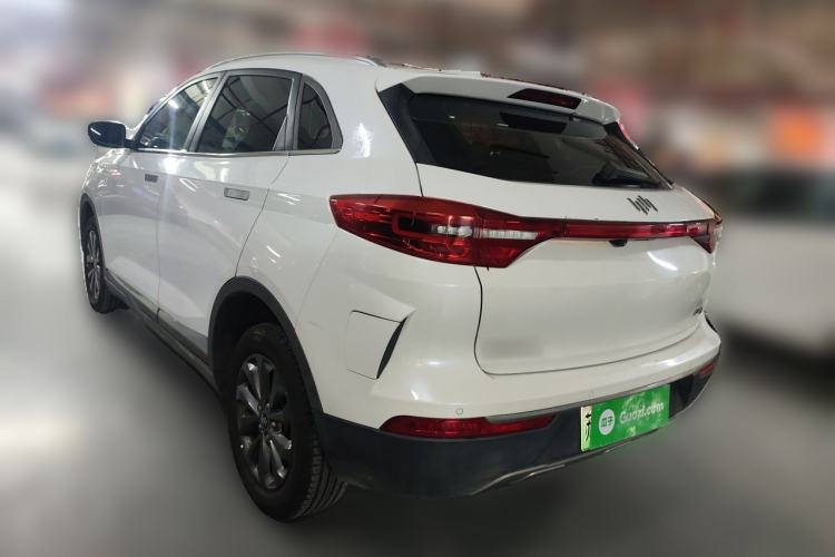 Used WM Motor EX5 2019 EX5 Mate Weymeng Edition 400 Rear Left 45 Deg