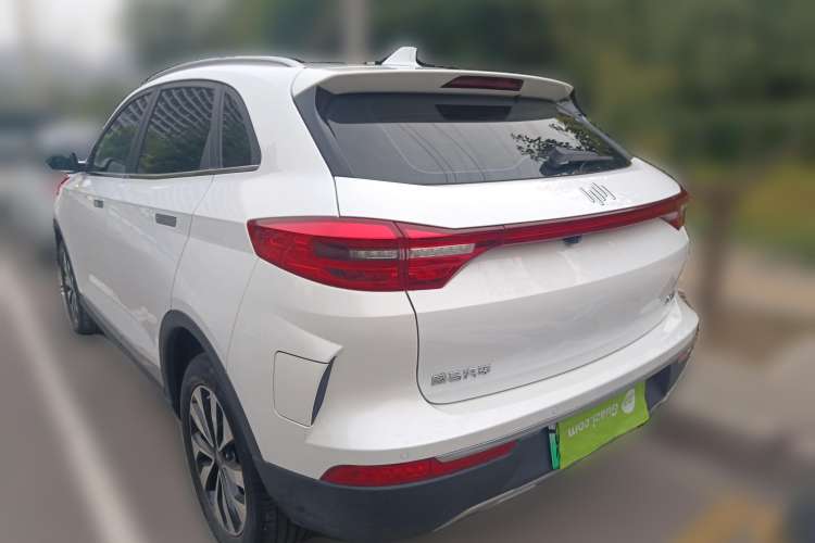 Used WM Motor EX5 2019 EX5 Lite Exploration Edition 520 Rear Left 45 Deg