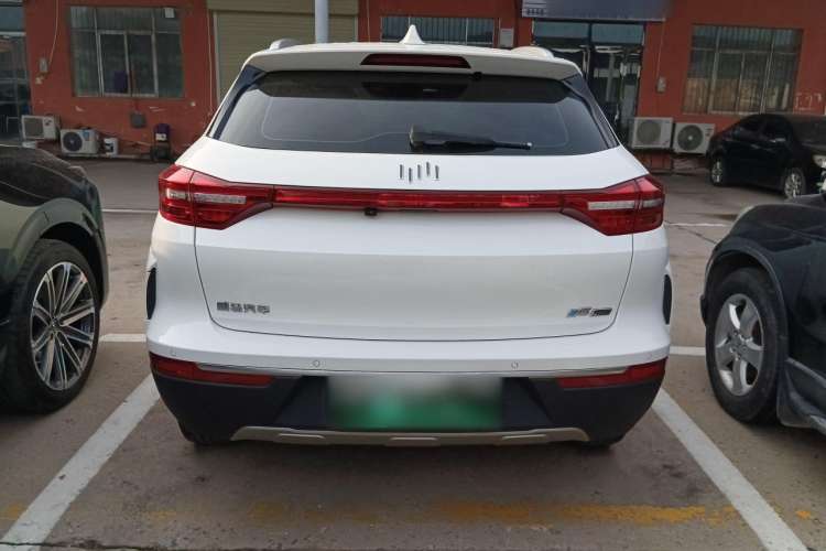 Used WM Motor EX5 2019 EX5 Mate Weymeng Edition 400 Rear