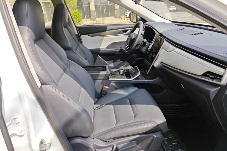 Used WM Motor EX5 2019 EX5 Mate Weymeng Edition 400 Right Front Seat