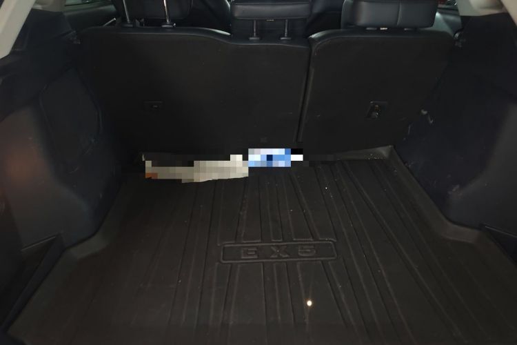 Used WM Motor EX5 2019 EX5 Mate Weymeng Edition 400 Trunk