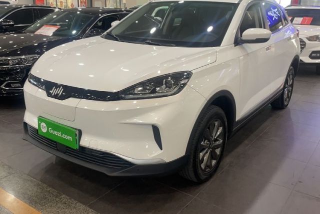 Used WM Motor EX5 2019 EX5 Mate Weymeng Edition 400