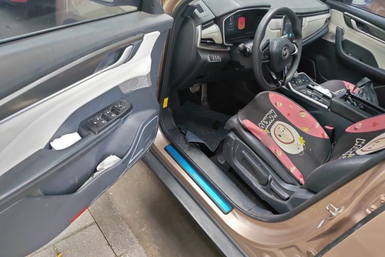 Used WM Motor EX5 2019 EX5 Mate Weymeng Edition 400 Driver Seat