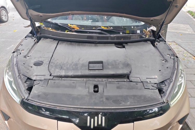 Used WM Motor EX5 2019 EX5 Mate Weymeng Edition 400 Engine Bay