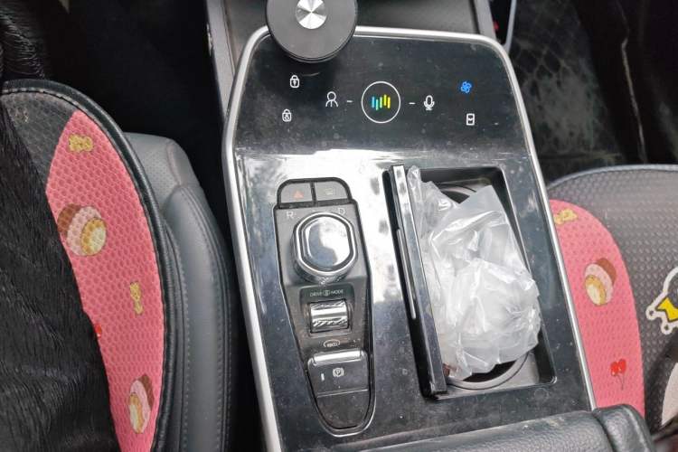 Used WM Motor EX5 2019 EX5 Mate Weymeng Edition 400 Gear Lever