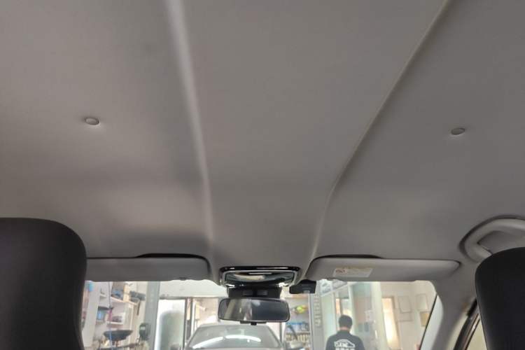 Used WM Motor EX5 2019 EX5 Lite Exploration Edition 520 Headliner