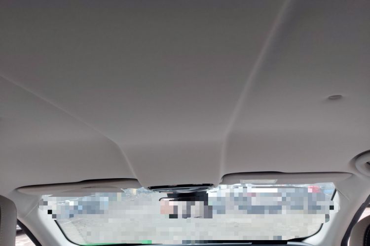Used WM Motor EX5 2019 EX5 Lite Exploration Edition 400 Headliner