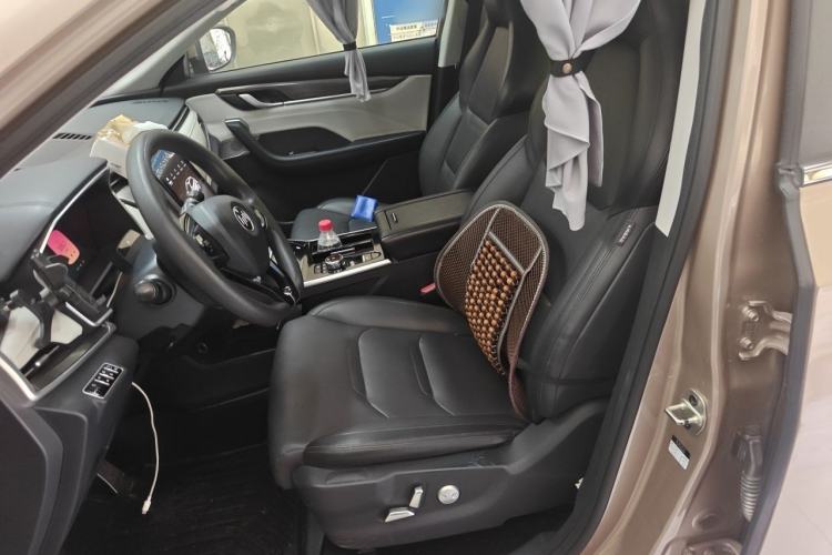 Used WM Motor EX5 2019 EX5 Lite Exploration Edition 520 Left Front Seat