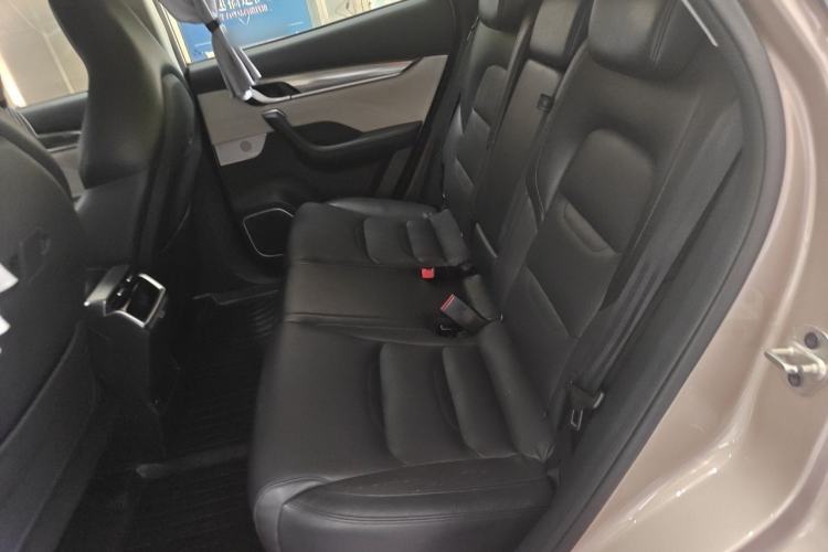 Used WM Motor EX5 2019 EX5 Lite Exploration Edition 520 Left Rear Seat