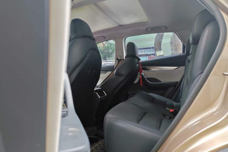 Used WM Motor EX5 2019 EX5 Mate Weymeng Edition 400 Left Rear Seat