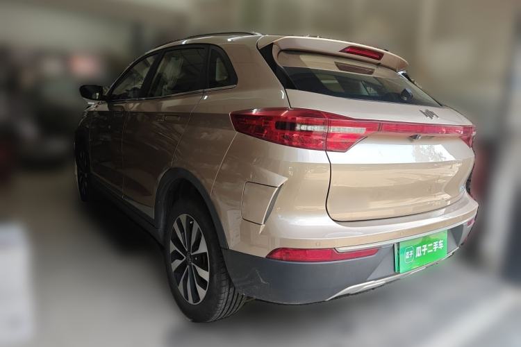Used WM Motor EX5 2019 EX5 Lite Exploration Edition 520 Rear Left 45 Deg