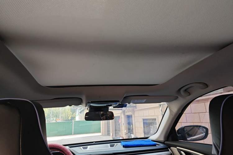Used WM Motor EX5 2020 EX5-Z Fun Dynamic Edition Headliner