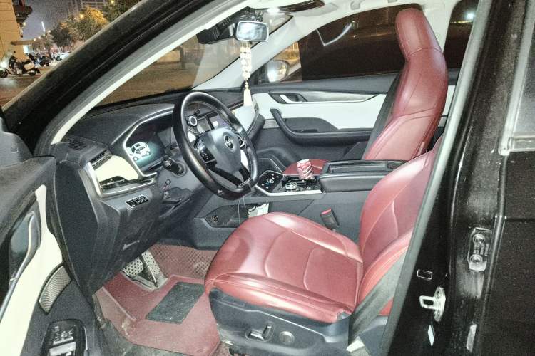 Used WM Motor EX5 2020 EX5-Z Fun Dynamic Edition Left Front Seat