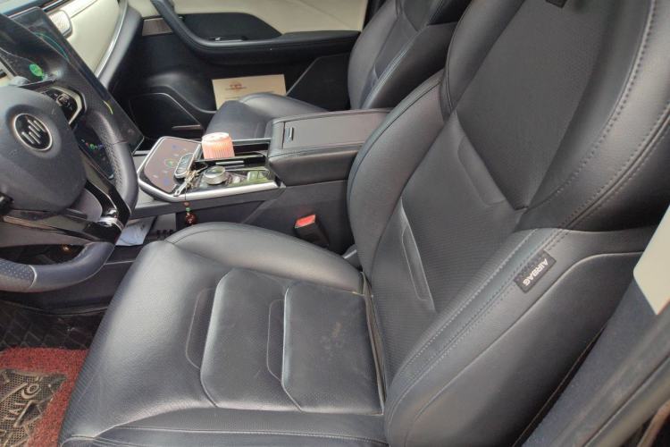 Used WM Motor EX5 2020 EX5-Z Nex Exploration Edition Left Front Seat