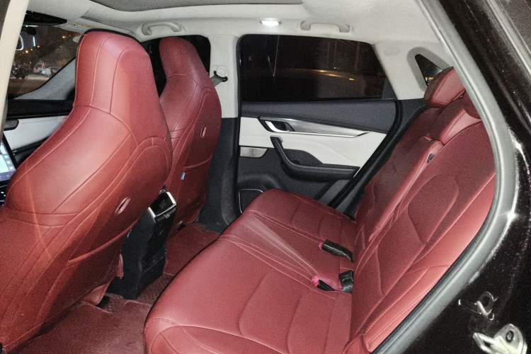 Used WM Motor EX5 2020 EX5-Z Fun Dynamic Edition Left Rear Seat