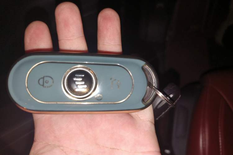 Used WM Motor EX5 2020 EX5-Z Fun Dynamic Edition Vehicle Key