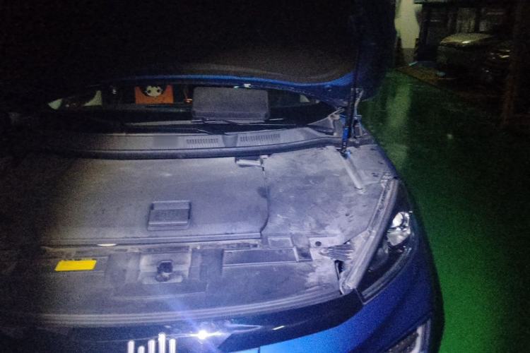 Used WM Motor EX5 2020 EX5-Z Nex Exploration Edition Engine Bay Left