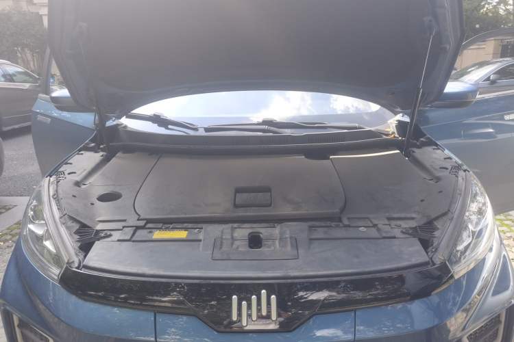 Used WM Motor EX5 2020 EX5-Z Fun Dynamic Edition Engine Bay