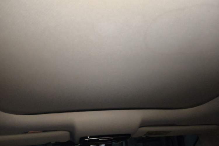 Used WM Motor EX5 2020 EX5-Z Nex Exploration Edition Headliner
