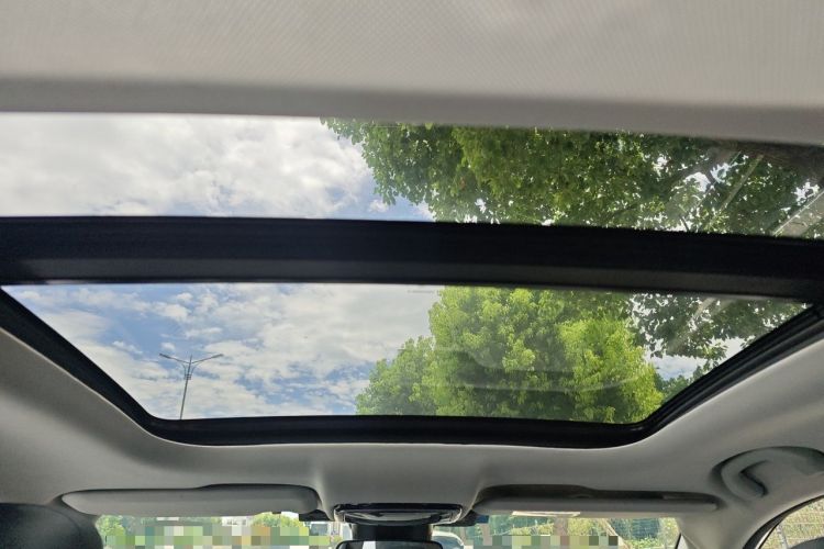 Used WM Motor EX5 2020 EX5-Z Fun Dynamic Edition Headliner