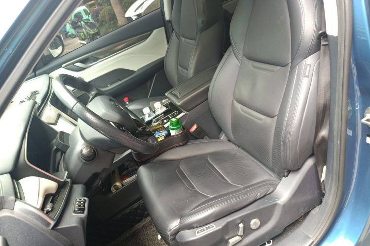 Used WM Motor EX5 2020 EX5-Z Pro Performance Edition Left Front Seat