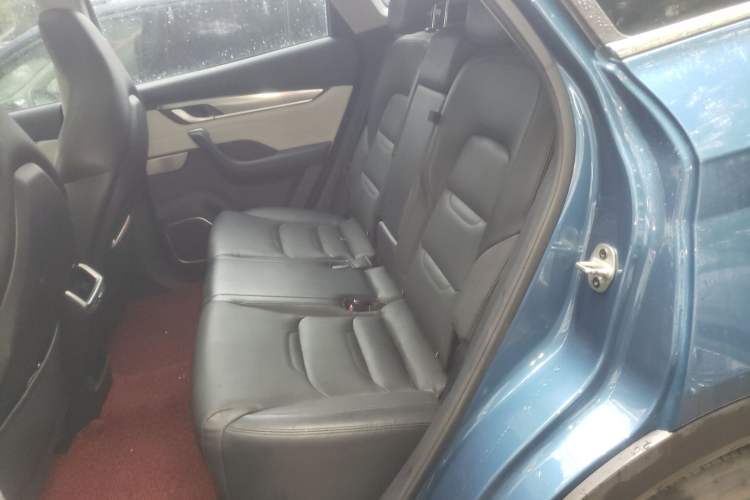 Used WM Motor EX5 2020 EX5-Z Fun Dynamic Edition Left Rear Seat