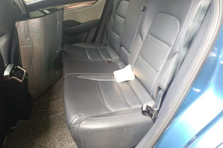 Used WM Motor EX5 2020 EX5-Z Pro Performance Edition Left Rear Seat