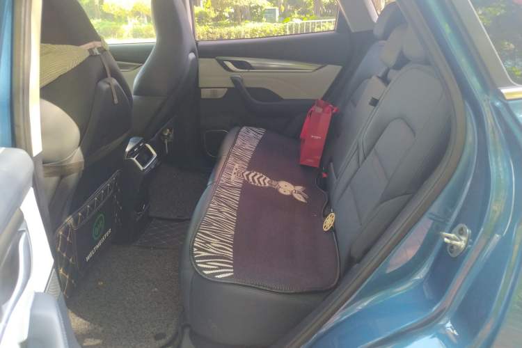 Used WM Motor EX5 2020 EX5-Z Fun Dynamic Edition Left Rear Seat