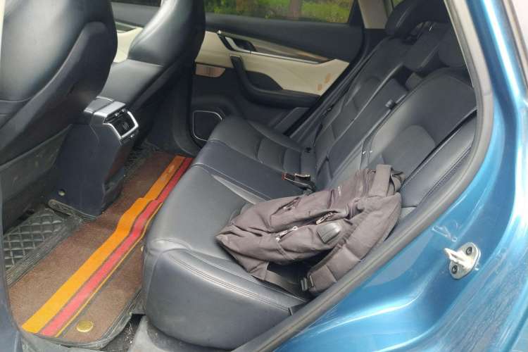 Used WM Motor EX5 2020 EX5-Z Fun Dynamic Edition Left Rear Seat