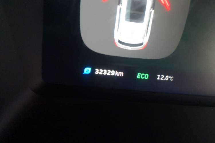 Used WM Motor EX5 2020 EX5-Z Nex Exploration Edition Odometer Close Up