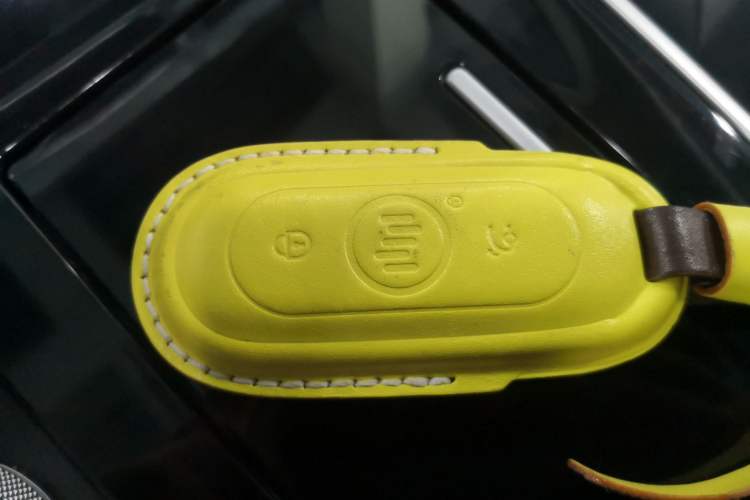 Used WM Motor EX5 2020 EX5-Z Nex Exploration Edition Vehicle Key