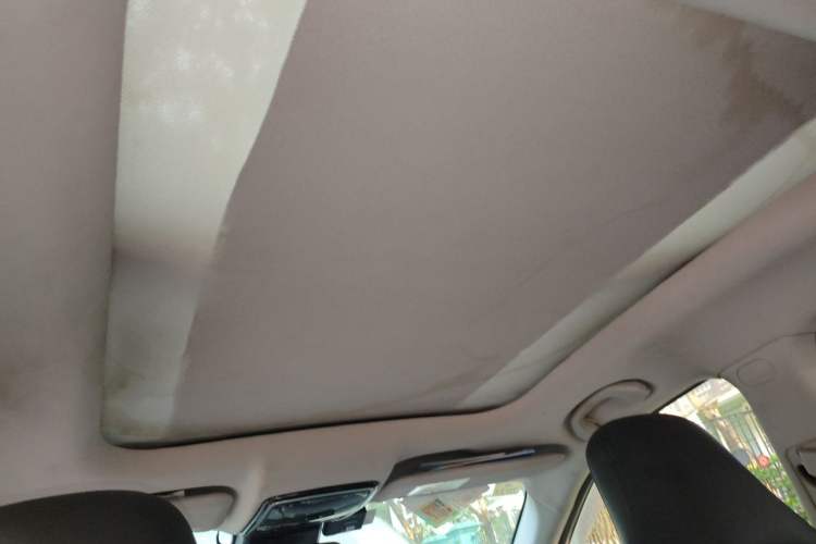 Used WM Motor EX5 2020 EX5-Z Fun Dynamic Edition Headliner