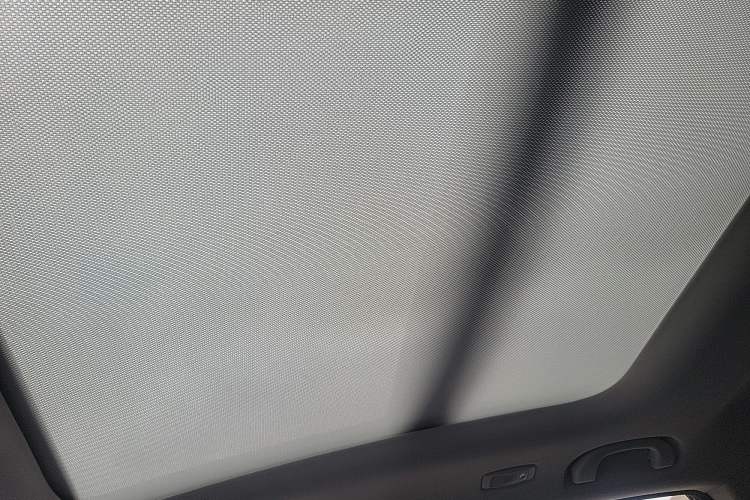 Used WM Motor EX5 2020 EX5-Z Nex Exploration Edition Headliner