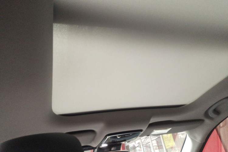 Used WM Motor EX5 2020 EX5-Z Nex Exploration Edition Headliner