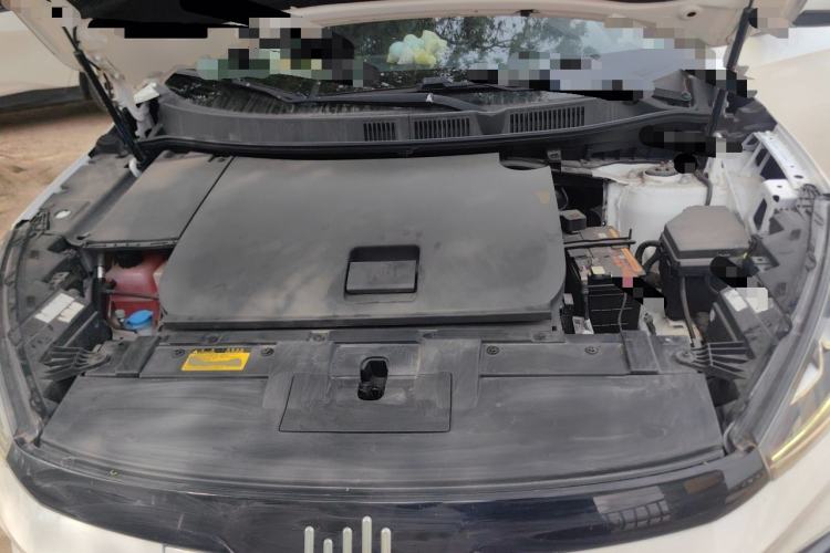 Used WM Motor EX5 2020 EX5-Z Fun Dynamic Edition Engine Bay