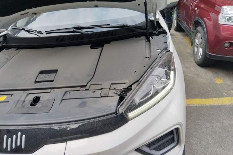 Used WM Motor EX5 2020 EX5-Z Fun Dynamic Edition Engine Bay Left