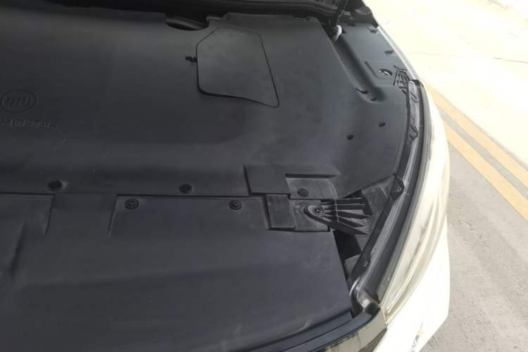 Used WM Motor EX5 2020 EX5 475 Jike Xing Edition Engine Bay Left