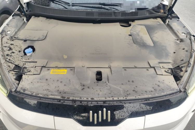 Used WM Motor EX5 2020 EX5 400 Jike Xing Edition Engine Bay