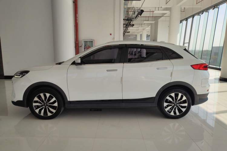 Used WM Motor EX5 2020 EX5-Z Fun Dynamic Edition Exterior 5