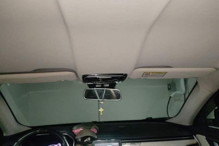 Used WM Motor EX5 2020 EX5 520 Jike Xing Edition Headliner