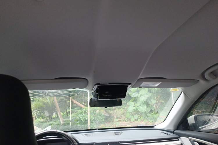Used WM Motor EX5 2020 EX5 400 Jike Xing Edition Headliner
