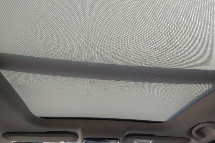 Used WM Motor EX5 2020 EX5-Z Fun Dynamic Edition Headliner