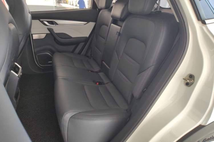 Used WM Motor EX5 2020 EX5-Z Fun Dynamic Edition Interior 1