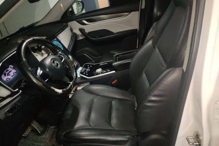 Used WM Motor EX5 2020 EX5 520 Jike Xing Edition Left Front Seat