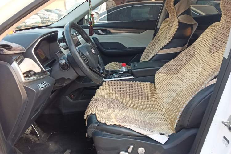 Used WM Motor EX5 2020 EX5-Z Nex Exploration Edition Left Front Seat
