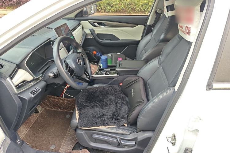 Used WM Motor EX5 2020 EX5 400 Jike Xing Edition Left Front Seat