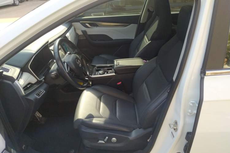 Used WM Motor EX5 2020 EX5-Z Fun Dynamic Edition Left Front Seat